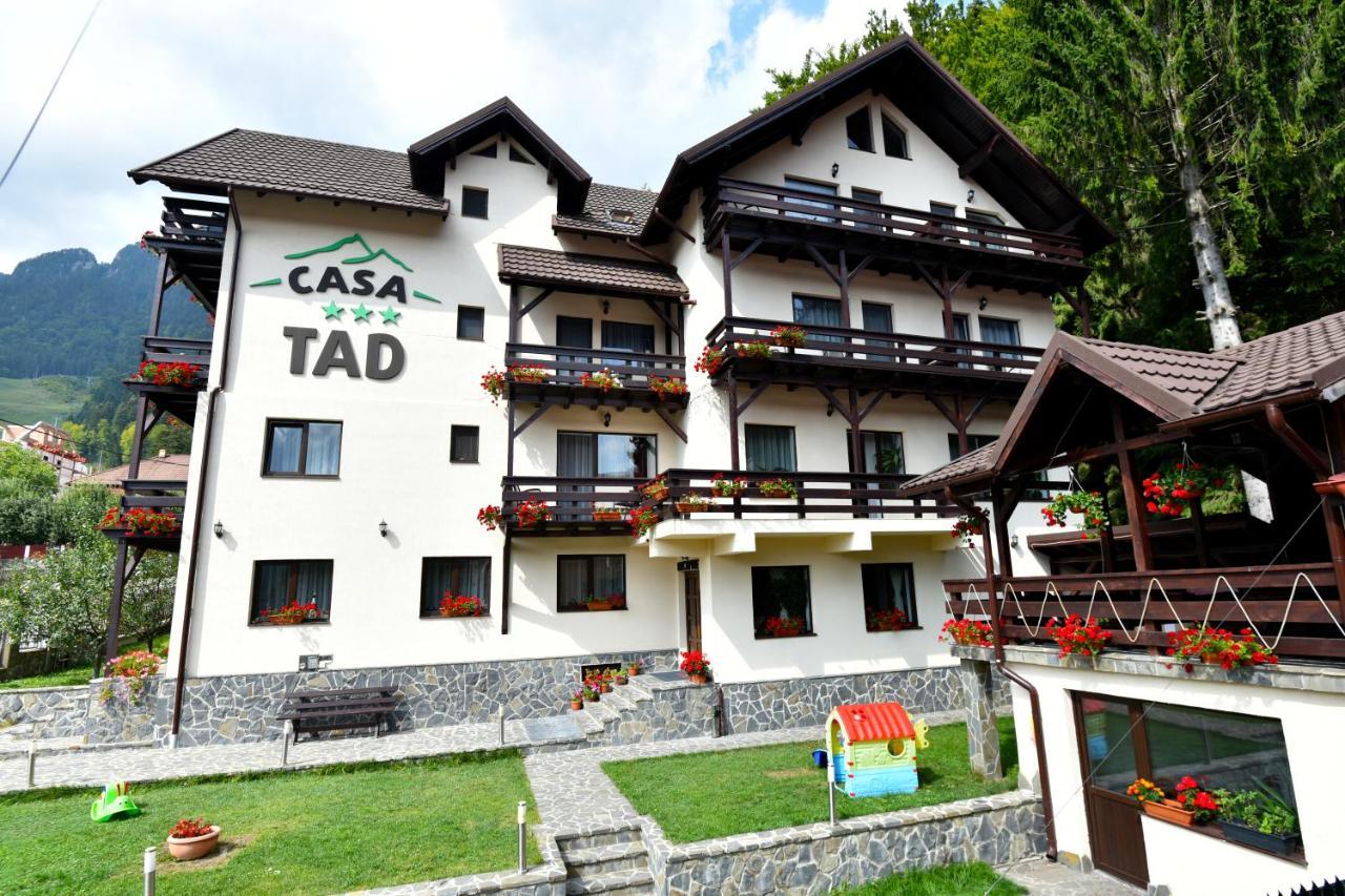 Casa Tad Hotel Buşteni Exterior foto