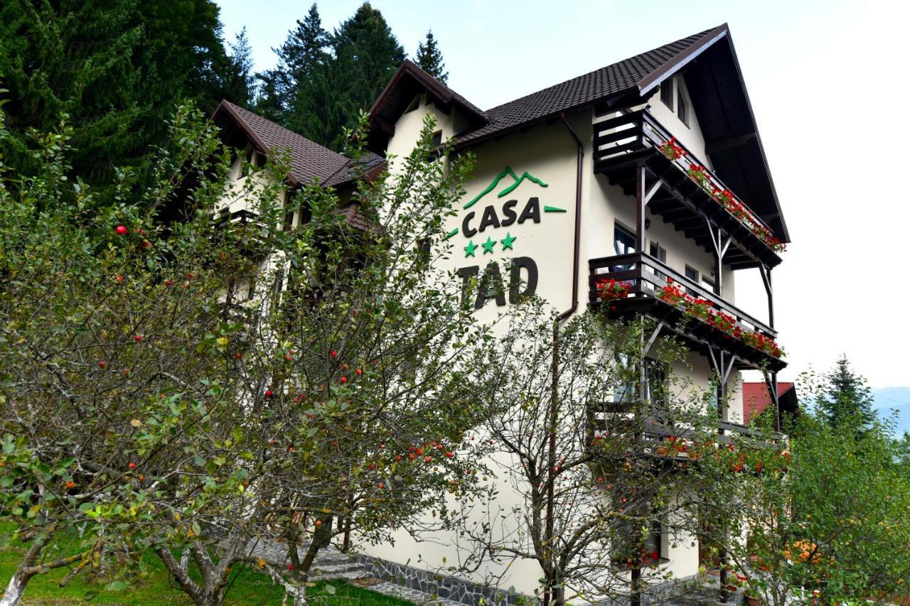 Casa Tad Hotel Buşteni Exterior foto