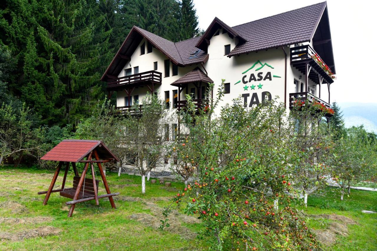 Casa Tad Hotel Buşteni Exterior foto