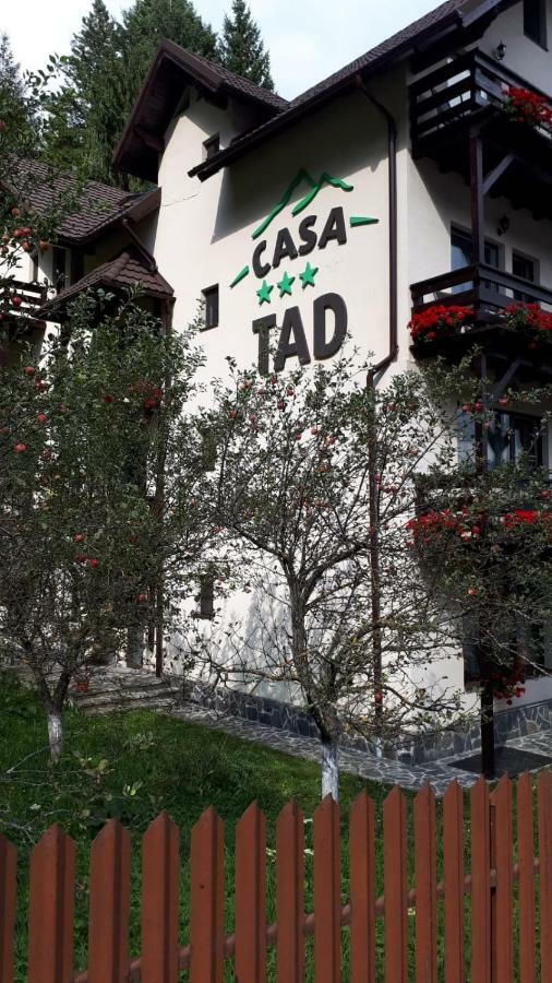 Casa Tad Hotel Buşteni Exterior foto