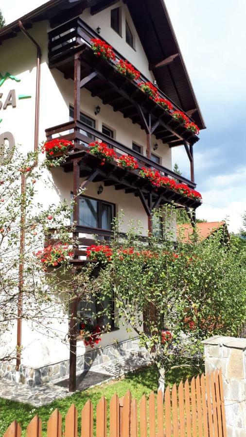 Casa Tad Hotel Buşteni Exterior foto