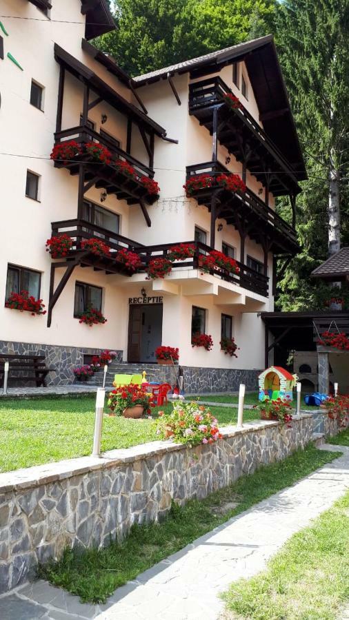 Casa Tad Hotel Buşteni Exterior foto