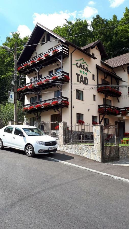 Casa Tad Hotel Buşteni Exterior foto